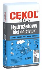 Hüdrogeel-plaadiliim Q4 pluss 5 kg hind ja info | Liimid | kaup24.ee