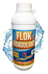 Basseinikoagulant 1kg Flok Tix цена и информация | Аксессуары для бассейнов | kaup24.ee