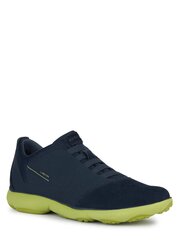 Spordijalatsid GEOX Nebula Navy Lime U52D7B 01122 C0749 573232951 hind ja info | Spordi- ja vabaajajalatsid meestele | kaup24.ee