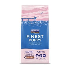 Fish4Dogs Finest Salmon Puppy lõhega kutsikatele, 6 kg цена и информация | Сухой корм для собак | kaup24.ee