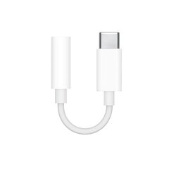 Apple USB-C на 3.5 мм цена и информация | Кабели и провода | kaup24.ee