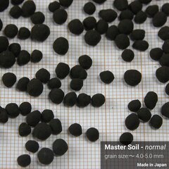 Master Soil Normal 3l - aktiivsubstraat akvaariumitele цена и информация | Детские игровые домики | kaup24.ee