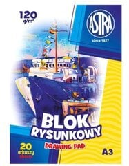 Бумага для творческих работ 120г/м² A3, 20 листов цена и информация | Тетради и бумажные товары | kaup24.ee