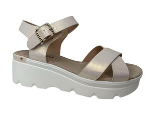 Sandaalid naistele Enplus hind ja info | Naiste sandaalid | kaup24.ee