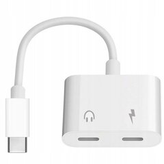 CO2 ADAPTER 2X USB-C ADAPTER USB TYPE C KAABEL SAMSUNG APPLE XIAOMI KOOS DACIGA hind ja info | USB jagajad, adapterid | kaup24.ee