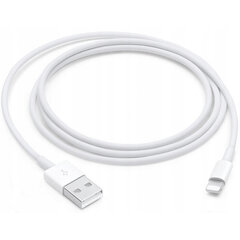 CO2 LAADIJA LÜHIKE USB KIIRLAADIMISKAABEL LIGHTNING IPHONE 14 0.5M hind ja info | Mobiiltelefonide laadijad | kaup24.ee