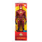 Figuur Flash DC Comics, 1 tk, 30 cm hind ja info | Poiste mänguasjad | kaup24.ee