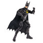 Figuuri Spin Master Flash Batman DC Comics, 30 cm hind ja info | Poiste mänguasjad | kaup24.ee