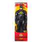 Figuuri Spin Master Flash Batman DC Comics, 30 cm hind ja info | Poiste mänguasjad | kaup24.ee