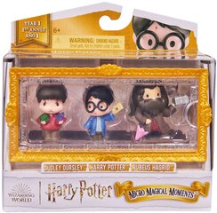 Harry Potter Micro Magical Moments figuurikomplekt Harry, Hagrid, Dudley + aksessuaarid цена и информация | Игрушки для мальчиков | kaup24.ee