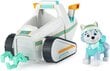 Figuur Paw Patrol Everest ja sõiduk mootorsaan koos Snow Plow eco'ga цена и информация | Poiste mänguasjad | kaup24.ee