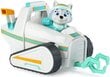 Figuur Paw Patrol Everest ja sõiduk mootorsaan koos Snow Plow eco'ga цена и информация | Poiste mänguasjad | kaup24.ee