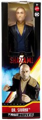 Figuur Shazam Dr. Sivana DC, GCW31, 30 cm hind ja info | Poiste mänguasjad | kaup24.ee