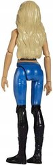 Charlotte Flair Doll Mattel, sinine FGY28 hind ja info | Tüdrukute mänguasjad | kaup24.ee