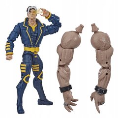 Hasbro Marvel Legends X-Men X-Man 16cm цена и информация | Игрушки для мальчиков | kaup24.ee