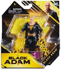 Фигурка Spin Master DC Black Adam Hawkman 10 см цена и информация | Игрушки для мальчиков | kaup24.ee