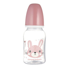 Kitsa kaelaga pudel Canpol Cute Animals 120ml, roosa (11/851) hind ja info | Lutipudelid ja aksessuaarid | kaup24.ee