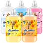 Coccolino kangapehmendaja Fresh & Soft Mix, 5x1,7L hind ja info | Pesuvahendid | kaup24.ee