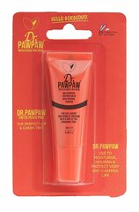 Multifunktsionaalne palsam tooniga Dr. PawPaw Peach Pink 10 ml цена и информация | Помады, бальзамы, блеск для губ | kaup24.ee