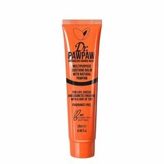 Multifunktsionaalne palsam tooniga Dr. PawPaw Outrageous Orange 25 ml цена и информация | Помады, бальзамы, блеск для губ | kaup24.ee