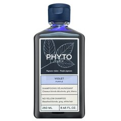 Phyto Purple No Yellow Shampoo тонирующий шампунь для нейтрализации желтых оттенков 250 мл цена и информация | Шампуни | kaup24.ee