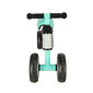 Tricycle Fix Tiny mint krossi kolmerattaline jalgratas KidsPro hind ja info | Jalgrattad | kaup24.ee