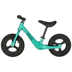 Кроссовый велосипед Trike Fix Active X2 зеленый  KidsPro цена и информация | Велосипеды | kaup24.ee