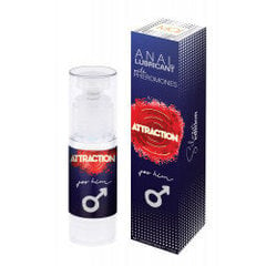 ANAL LUBRICANT WITH PHEROMONES ATTRACTION FOR HIM 50 ML цена и информация | Лубриканты | kaup24.ee