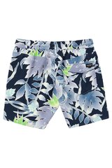 Meeste Volcom Lido Print rannas ujumispüksid цена и информация | Мужские шорты | kaup24.ee