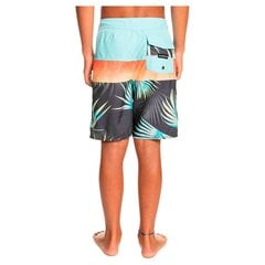 Quiksilveri laste Everyday Panel boardshort ujumispüksid цена и информация | Шорты для мальчиков | kaup24.ee