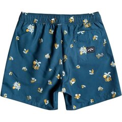 Laste ujumispüksid Billabong Salty Lb boardshort ujumispüksid цена и информация | Плавки, плавательные шорты | kaup24.ee