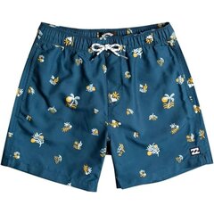 Laste ujumispüksid Billabong Salty Lb boardshort ujumispüksid цена и информация | Плавки, плавательные шорты | kaup24.ee