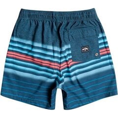 Lastele mõeldud Billabong All Day Stripe boardshort ujumispüksid цена и информация | Плавки для мальчиков | kaup24.ee