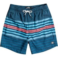 Lastele mõeldud Billabong All Day Stripe boardshort ujumispüksid цена и информация | Плавки для мальчиков | kaup24.ee