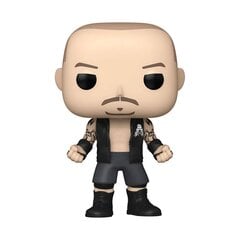 Vinüülfiguur WWE Pop! Randy Orton RKBro, 9 cm hind ja info | Tüdrukute mänguasjad | kaup24.ee