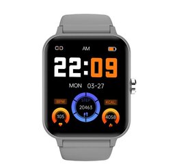 Blackview Smartwatch R30/hall цена и информация | Смарт-часы (smartwatch) | kaup24.ee