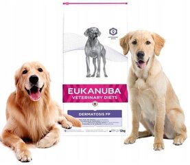 Eukanuba Veterinary Diets сухой корм для крупных собак (26-45 кг), 12 кг. цена и информация | Сухой корм для собак | kaup24.ee