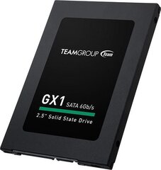 Team Group T253X1480G0C101 kaina ir informacija | Внутренние жёсткие диски (HDD, SSD, Hybrid) | kaup24.ee