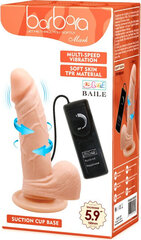 Realistlik peenise seksidildo vibratsiooniga 15 cm hind ja info | Vibraatorid | kaup24.ee