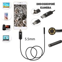 Endoskoopiline kaamera 5.5mm , 5m цена и информация | Адаптеры и USB-hub | kaup24.ee