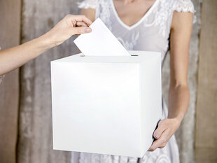 Pulmasoovide karp Cream 24x24x24 cm hind ja info | Peokaunistused | kaup24.ee
