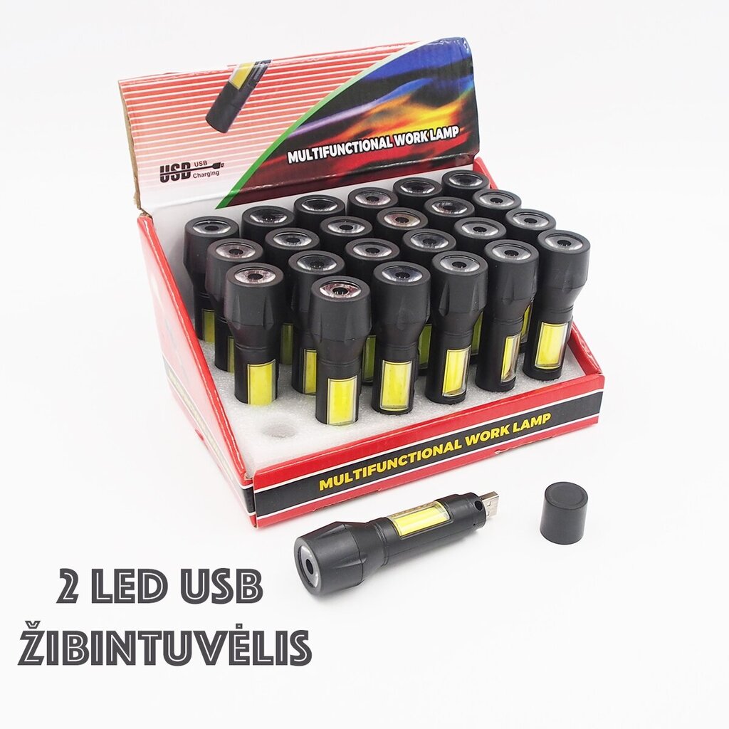 Prožektor USB-2LED цена и информация | Taskulambid, prožektorid | kaup24.ee