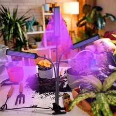 Taimekasvatuslamp 315 led цена и информация | Садовые инструменты | kaup24.ee