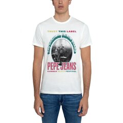 Pepe Jeans meeste Matt puuvillane t-särk цена и информация | Мужские футболки | kaup24.ee