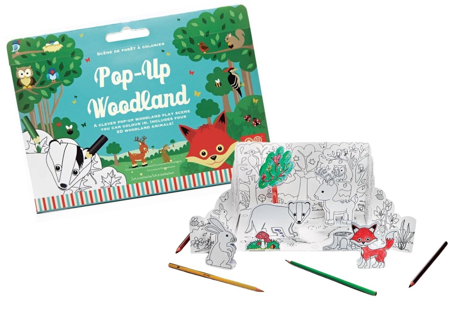 Pop-Up Woodland 3D värvimisraamatu loomafiguurid цена и информация | Värviraamatud | kaup24.ee