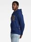 Pusa kapuutsiga G-STAR Distressed Originals Hooded Blue D24414 D562 1305 560023366 hind ja info | Meeste kampsunid | kaup24.ee