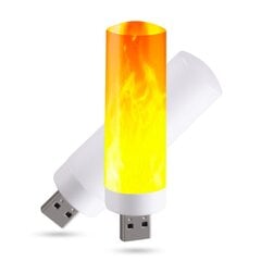 Usb leegi imitatsioon Led цена и информация | Уличное освещение | kaup24.ee