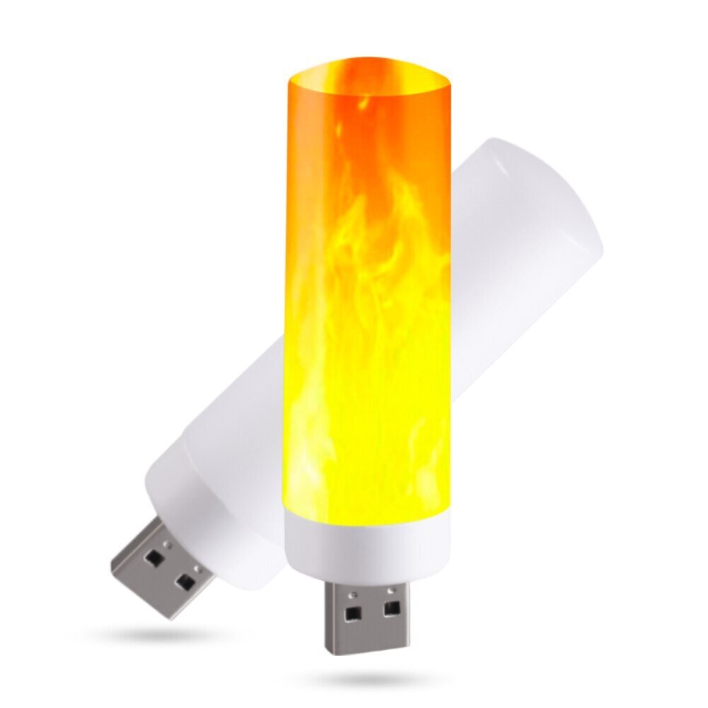 Usb leegi imitatsioon Led цена и информация | Aia- ja õuevalgustid | kaup24.ee