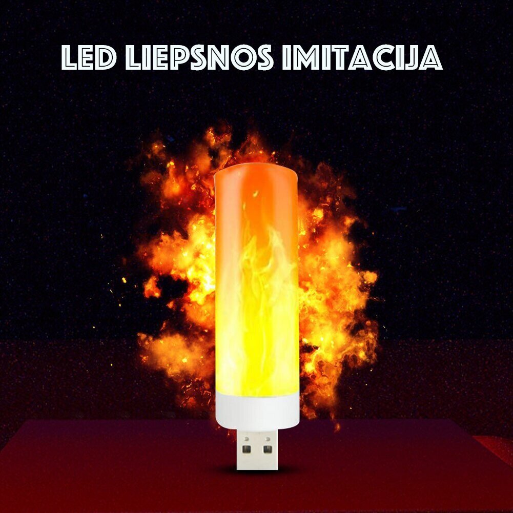 Usb leegi imitatsioon Led цена и информация | Aia- ja õuevalgustid | kaup24.ee