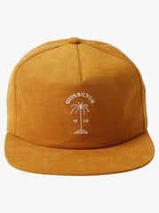 Quiksilver meeste Grass Shot snapback pesapallimüts hind ja info | Meeste sallid, mütsid ja kindad | kaup24.ee